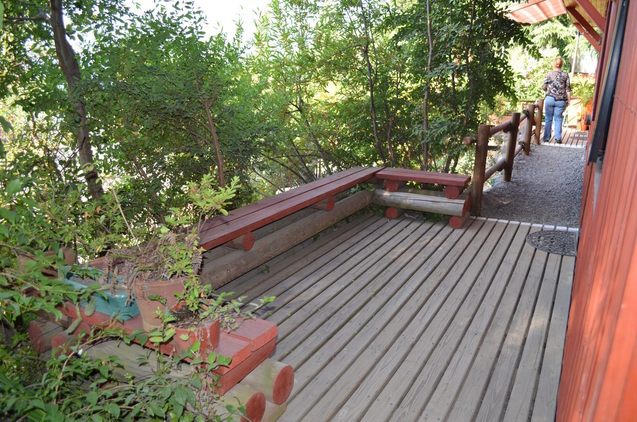 Los Gualles De La Candelaria Apart Hotel Pucon Exterior photo